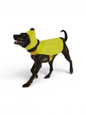 Hyde & Eek! Large Dog Banana Costume Vest & Headpiece Halloween Pet Outfit